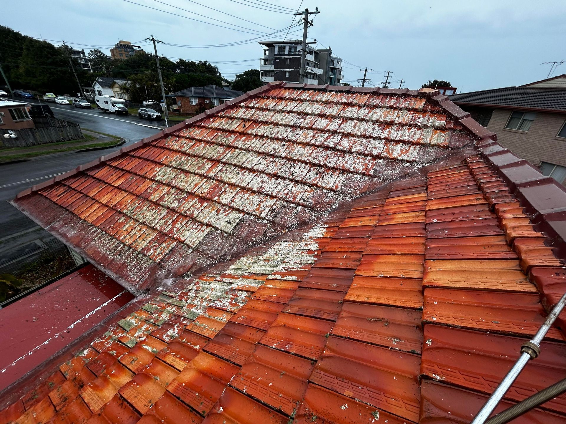 Roof Cleaning